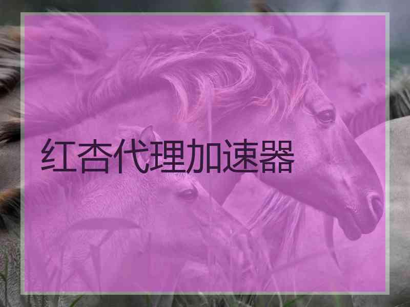 红杏代理加速器