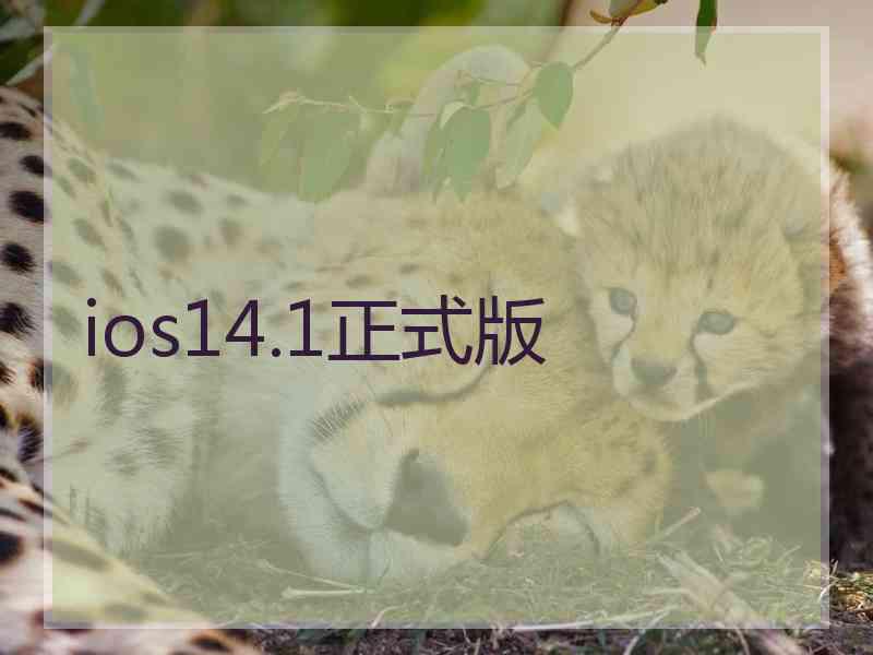 ios14.1正式版