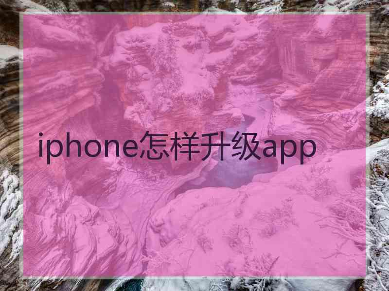 iphone怎样升级app