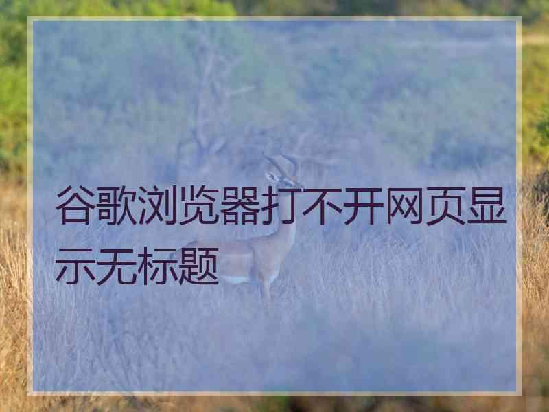 谷歌浏览器打不开网页显示无标题