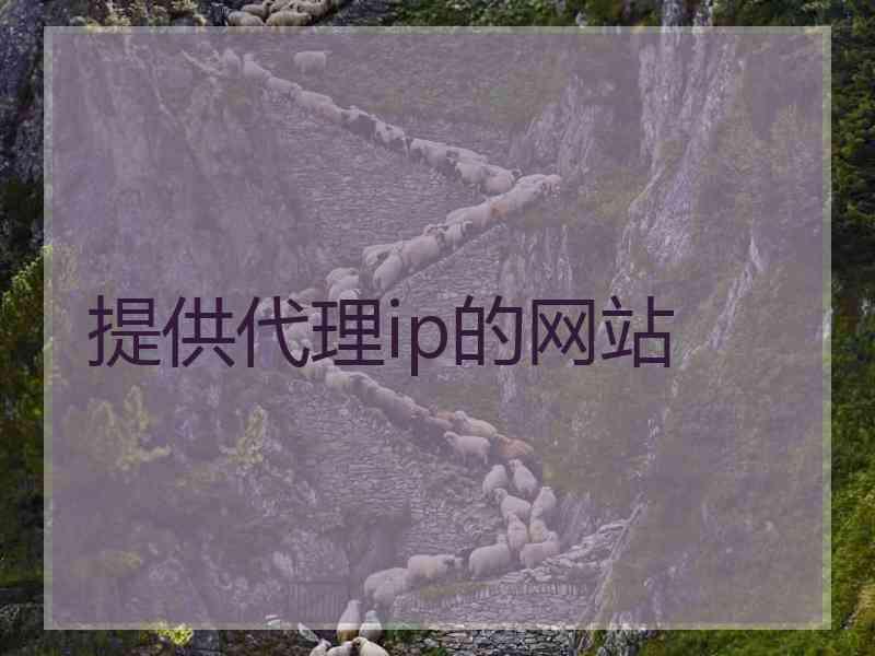提供代理ip的网站