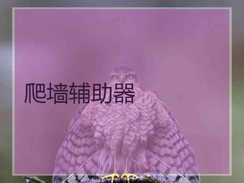 爬墙辅助器