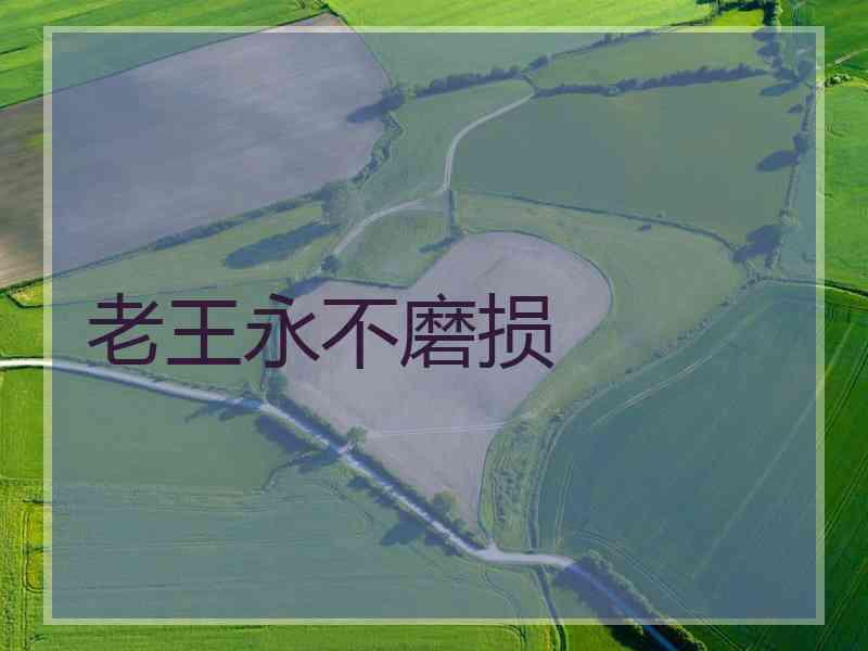 老王永不磨损