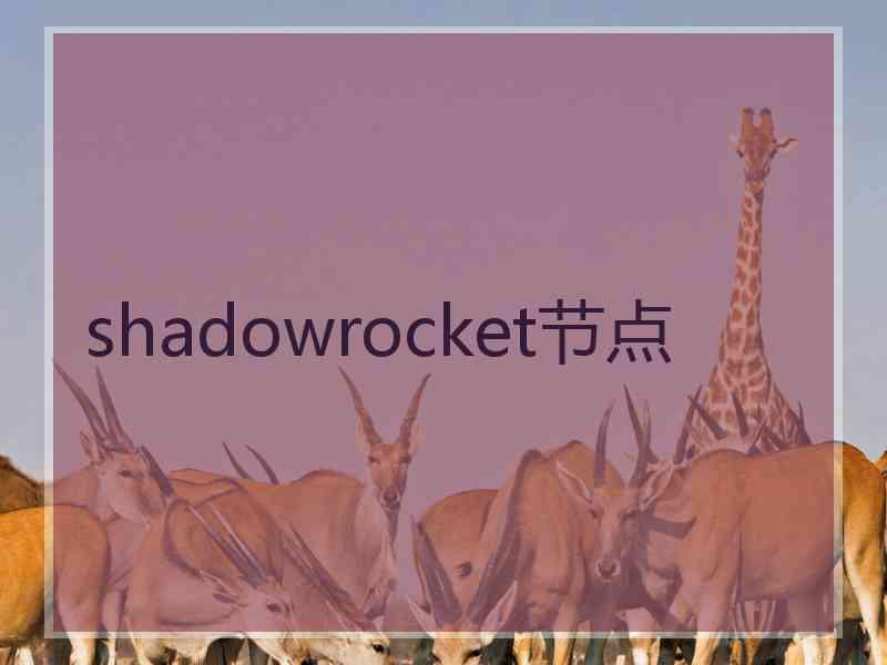 shadowrocket节点