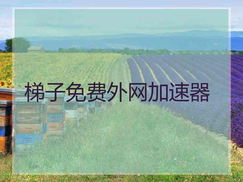 梯子免费外网加速器
