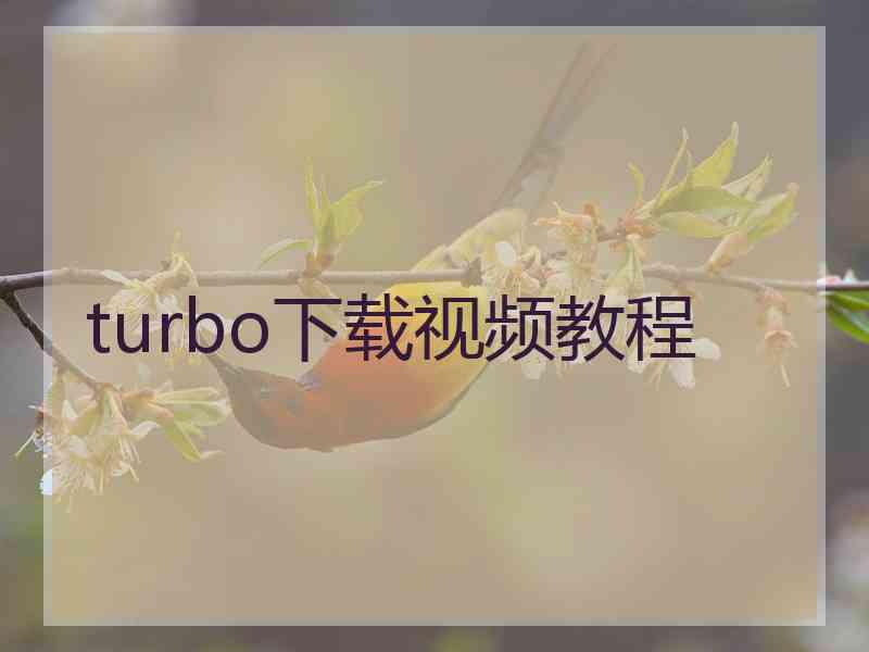 turbo下载视频教程