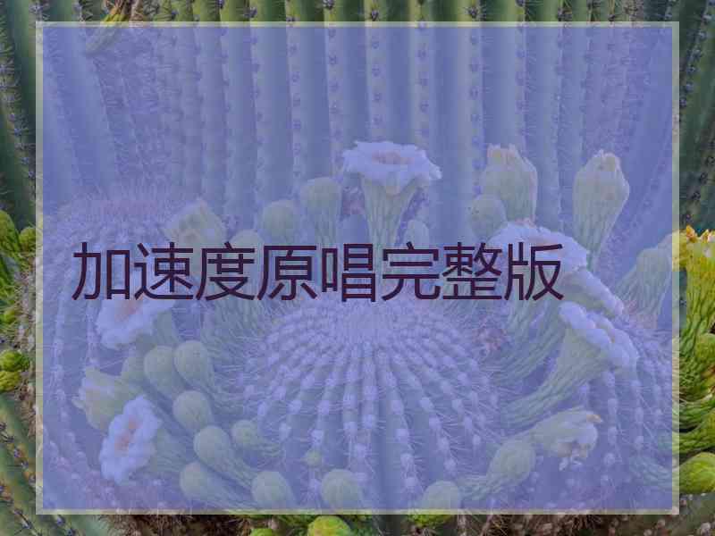 加速度原唱完整版