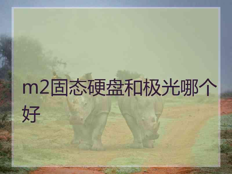 m2固态硬盘和极光哪个好