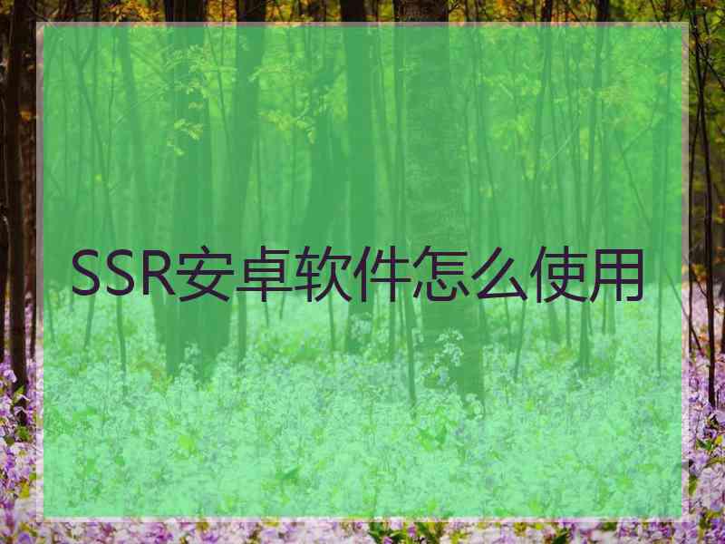 SSR安卓软件怎么使用