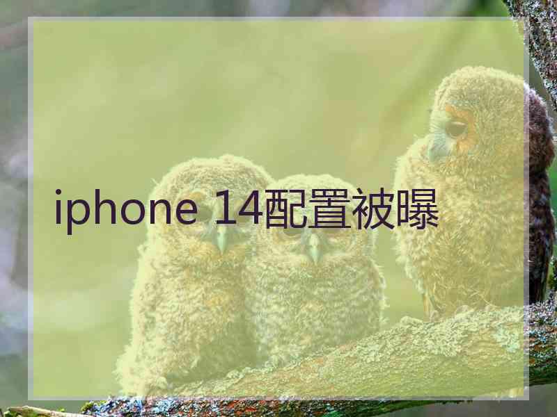 iphone 14配置被曝