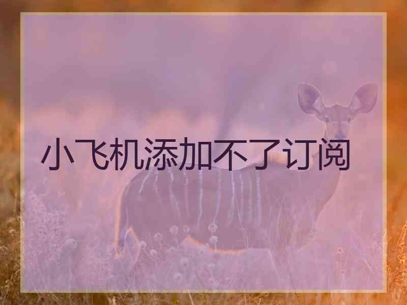 小飞机添加不了订阅
