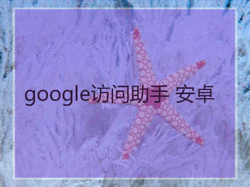 google访问助手 安卓