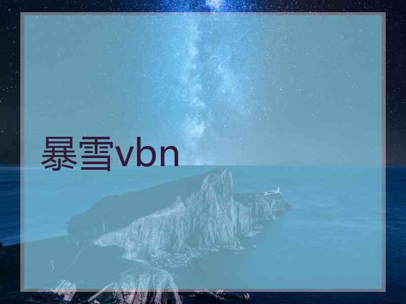 暴雪vbn