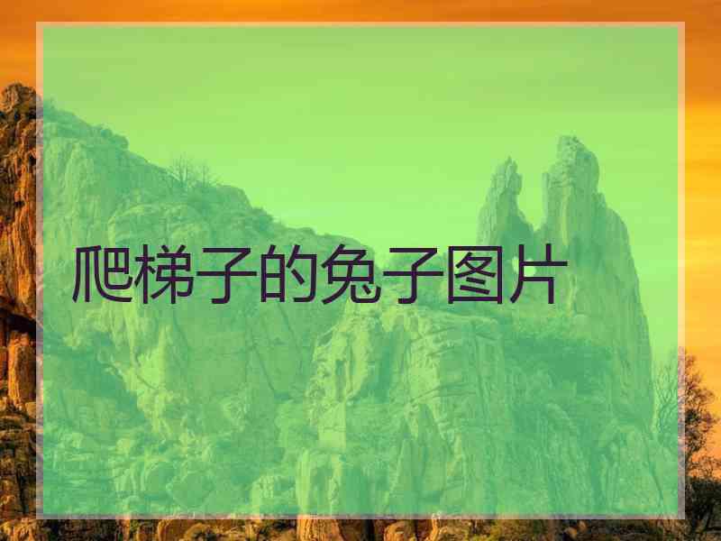 爬梯子的兔子图片