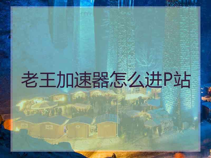 老王加速器怎么进P站