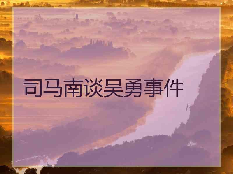 司马南谈吴勇事件