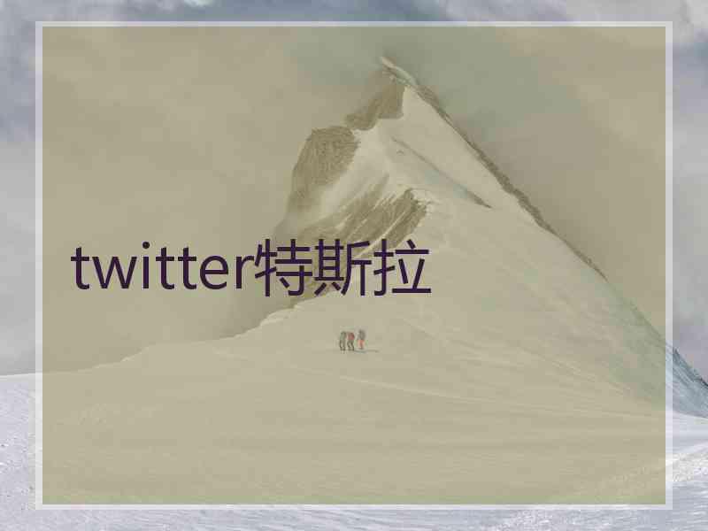 twitter特斯拉