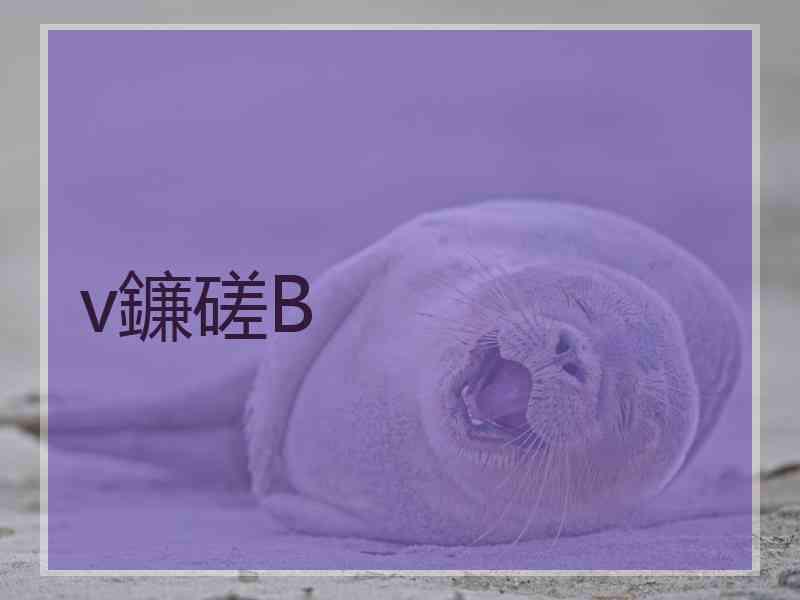 v鐮磋В