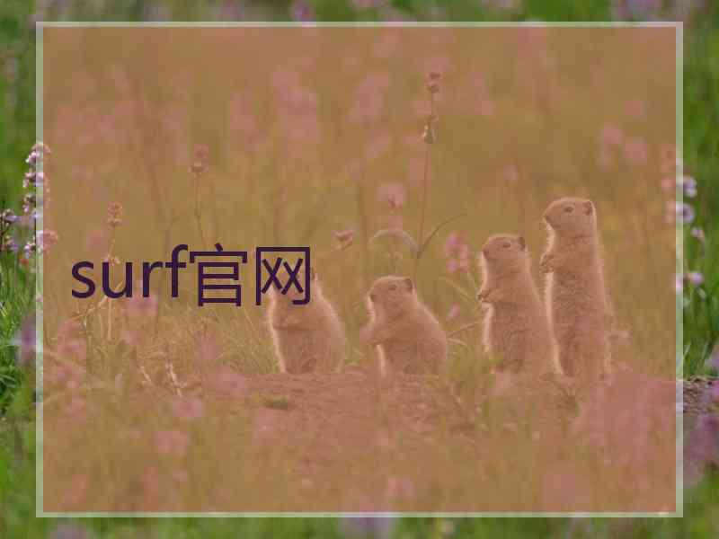 surf官网