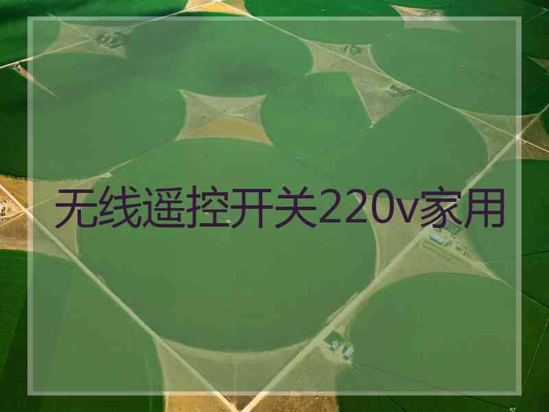无线遥控开关220v家用