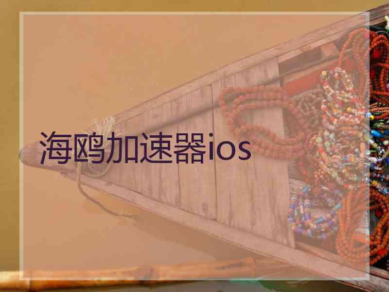 海鸥加速器ios