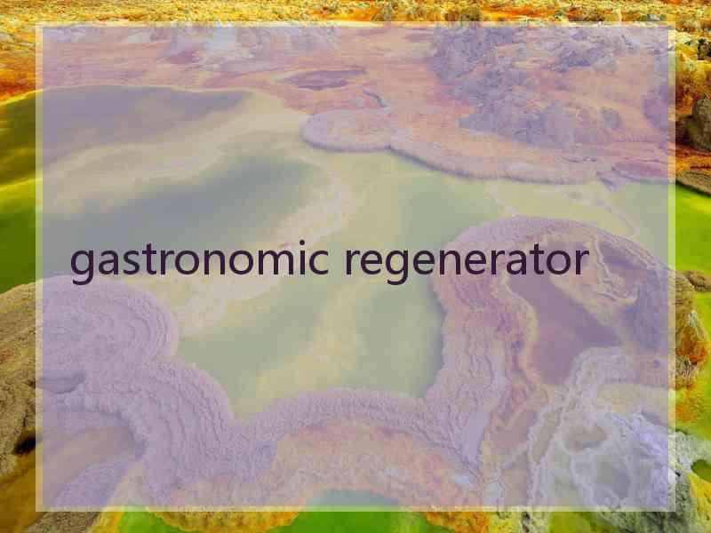 gastronomic regenerator