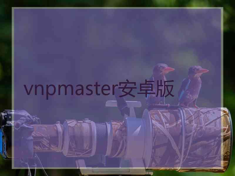 vnpmaster安卓版