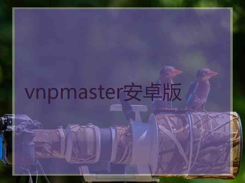 vnpmaster安卓版