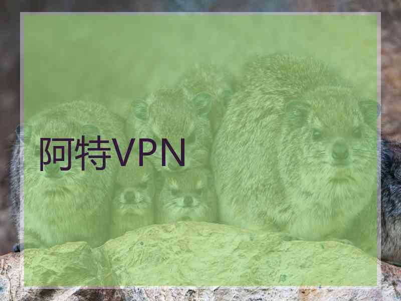 阿特VPN