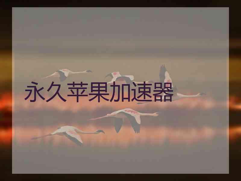 永久苹果加速器