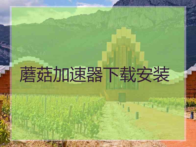蘑菇加速器下载安装