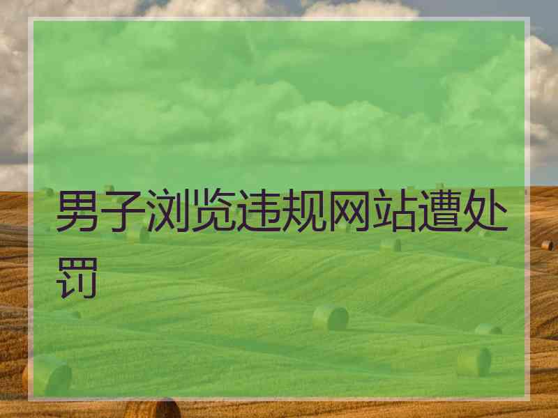男子浏览违规网站遭处罚