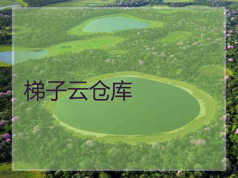 梯子云仓库