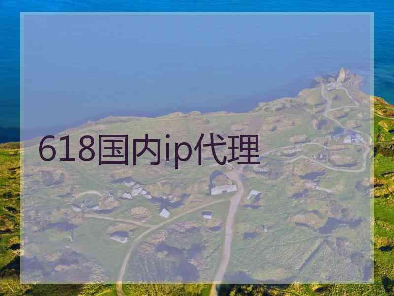 618国内ip代理