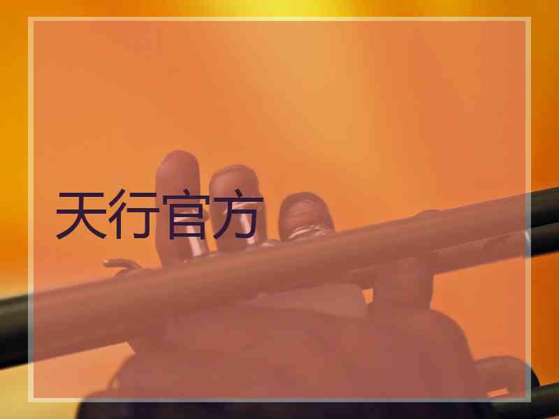 天行官方