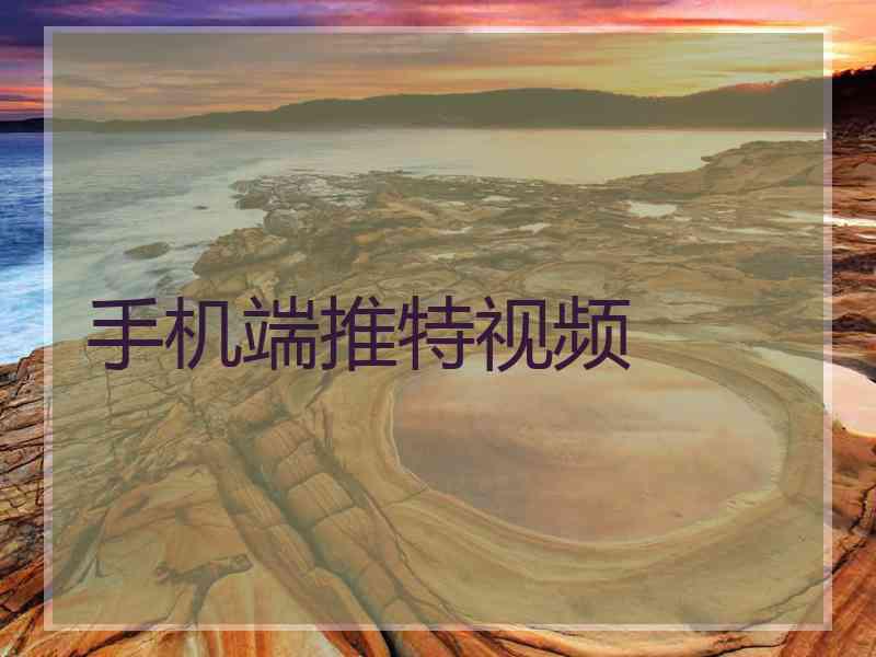手机端推特视频