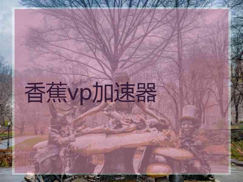 香蕉vp加速器