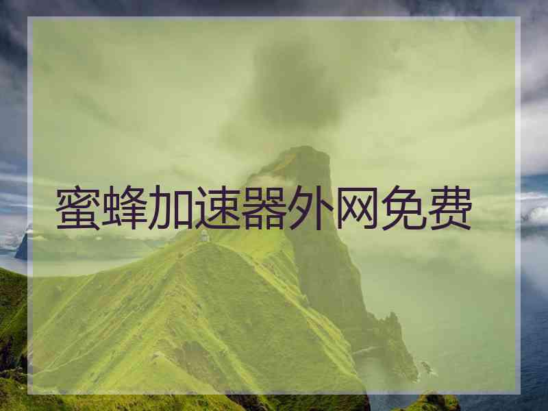 蜜蜂加速器外网免费