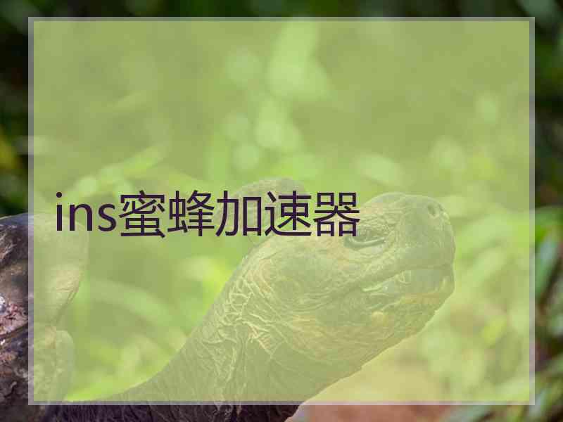 ins蜜蜂加速器