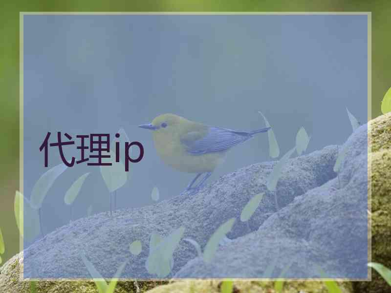 代理ip