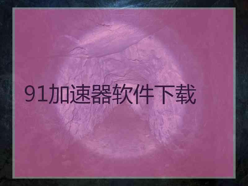 91加速器软件下载