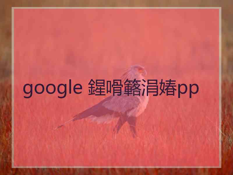 google 鍟嗗簵涓媋pp