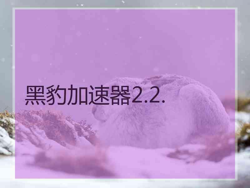 黑豹加速器2.2.
