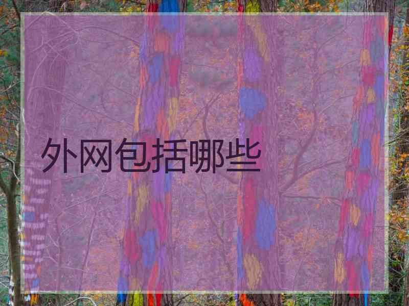 外网包括哪些