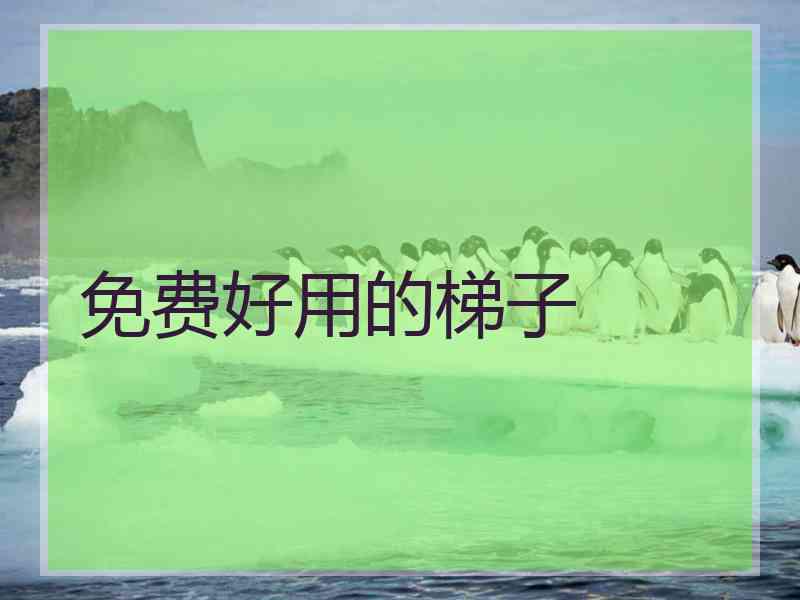 免费好用的梯子