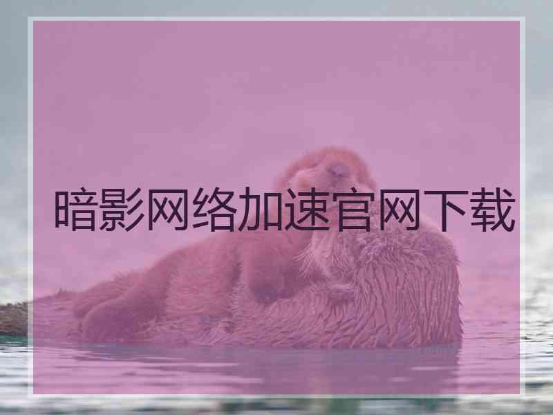 暗影网络加速官网下载