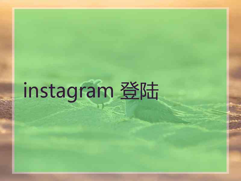 instagram 登陆