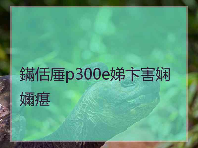 鏋佸厜p300e娣卞害娴嬭瘎