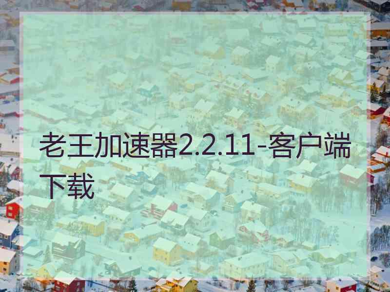 老王加速器2.2.11-客户端下载