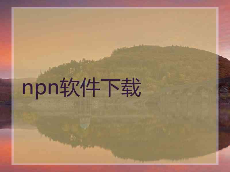 npn软件下载